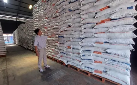 Optimistis Jaga Stok Pangan, Bulog Probolinggo Bidik Serapan 74 Ribu Ton Gabah di 2026
