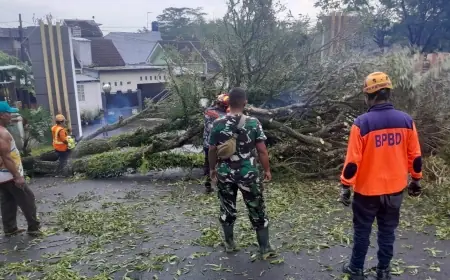 Akses Perum Citra Raya Pakisaji Malang Sempat Terhambat Akibat Pohon Tumbang