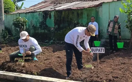 Gerakan Tanam Sayur dan Buah di Pekarangan, Perkuat Ketahanan Pangan di Bondowoso