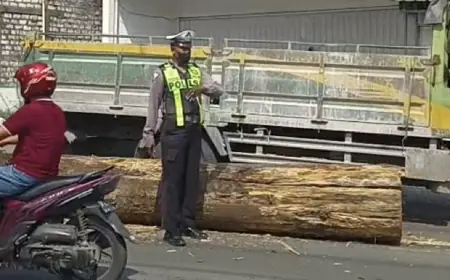 Kayu Gelondongan Terjatuh dari Truk di Jalan Raya Gresik, Lalu Lintas Terganggu