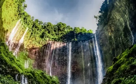 Dua Wajah Tumpak Sewu: Indah dari Atas, Menggetarkan di Dasar Lembah