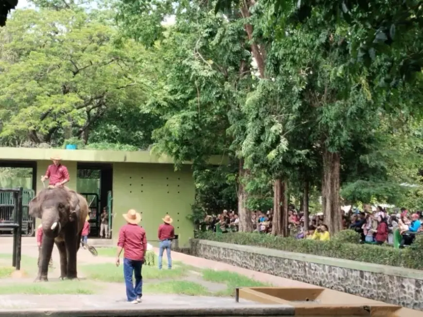 Puluhan Ribu Pengunjung Serbu Kebun Binatang Surabaya di Hari Pertama 2026