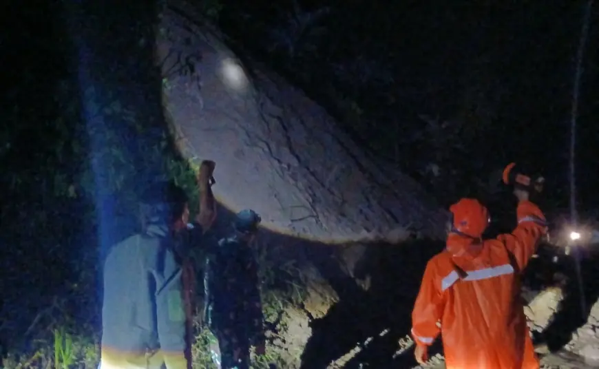 Akses Utama Wisata Bromo via Poncokusumo Putus Total Akibat Longsor Tebing 20 Meter