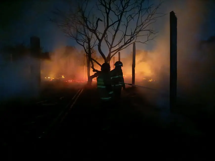 Kandang Ayam di Rejotangan Tulungagung Ludes Terbakar, Kerugian Capai Rp150 Juta