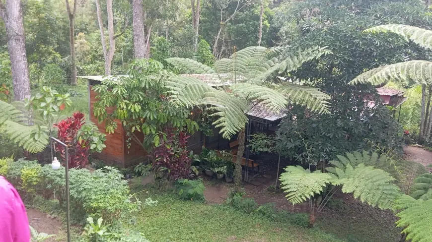 Dari Mimpi Pendaki Jadi Hidden Gem : Kampnh Coffee & Space Hadirkan Sensasi Ngopi di Hutan Pinus Lereng Kelud