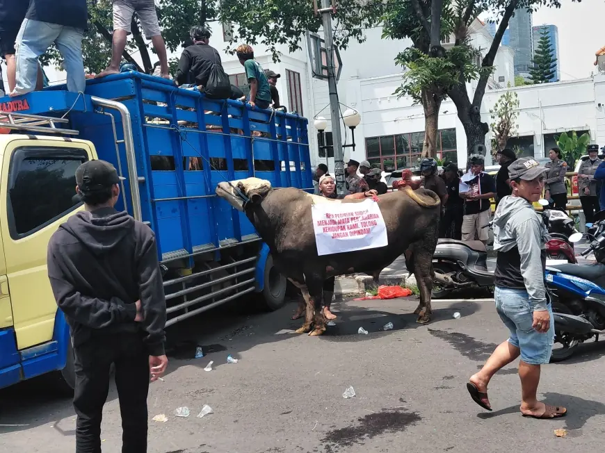 Membawa Sapi, Ratusan Jagal dan Pedagang Daging di Surabaya Luruk Gedung DPRD Tolak Relokasi RPH