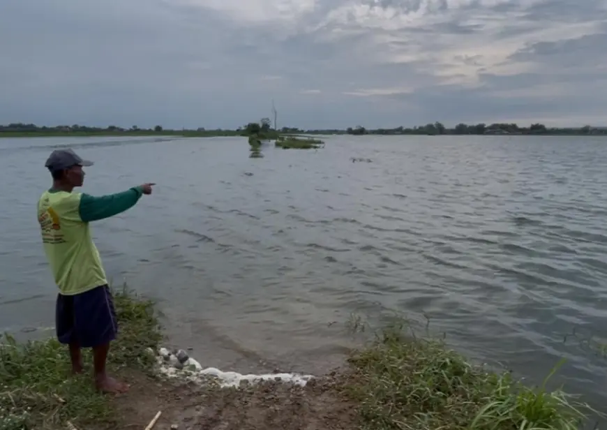 17 Hektare Sawah di Jombang Terendam Banjir, Petani Terancam Rugi Puluhan Juta
