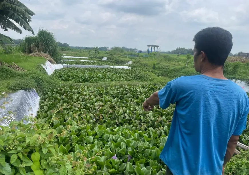 Proyek IPAL Tahu di Jombang Terancam Gagal, Srobot Lahan Warga hingga Telan Korban Jiwa