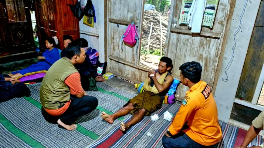 Angin Kencang di Wringin Bondowoso Robohkan Pohon Pete dan Lukai Pengendara