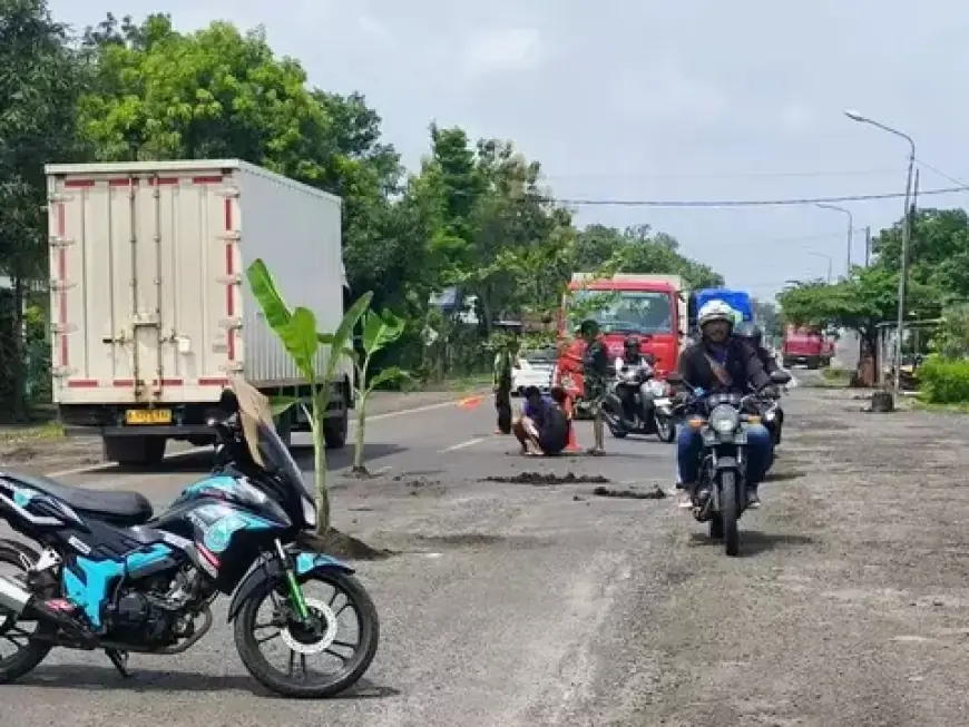 Aksi Protes Warga Ngawi, Tanam Pohon Pisang di Jalur Nasional Akibat Kerusakan Menahun