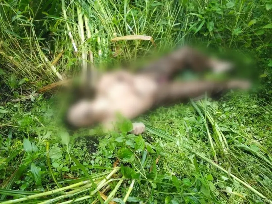 Penemuan Mayat di Alas Coban Manan Malang, Identitas Masih Misteri