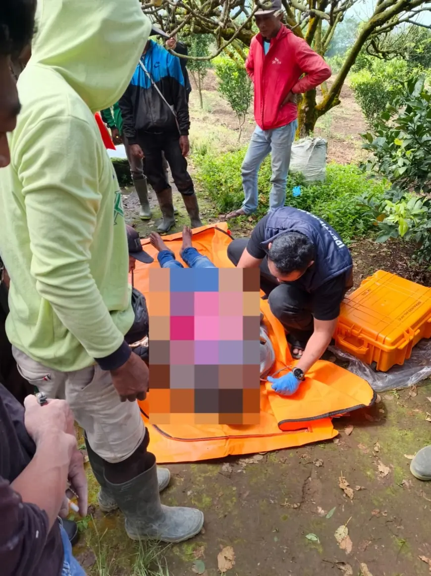 Petani di Pujon Akhiri Hidupnya di Gubuk Kebun Apel