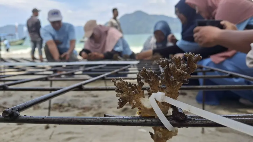 Pelindo Turun Tangan di Pantai Mutiara, Jaga Terumbu Karang Bersama Warga Trenggalek