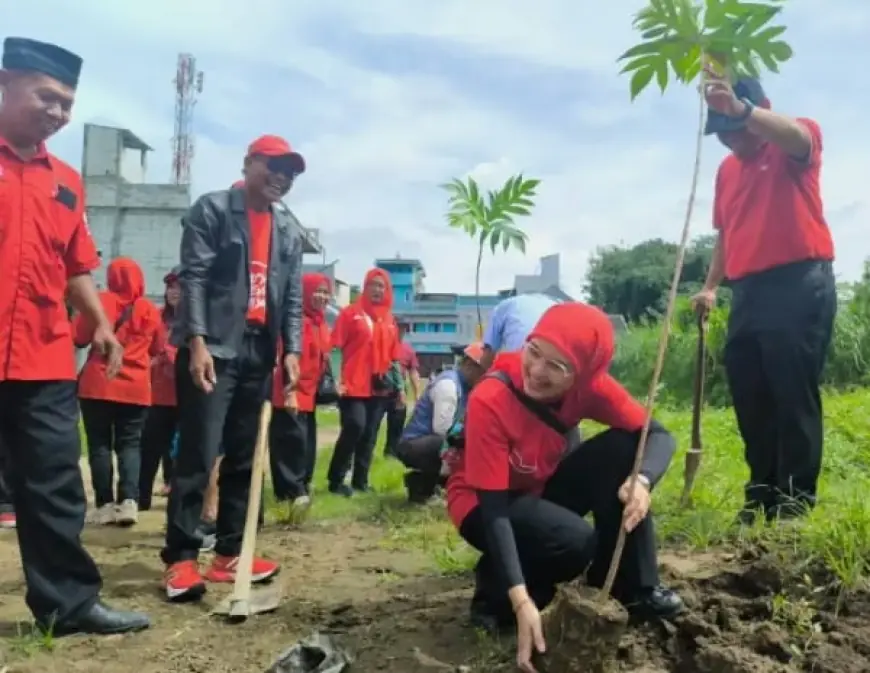Kado PDI Perjuangan Malang untuk Bu Mega, Tanam Ribuan Pohon Lawan Krisis Ekologi