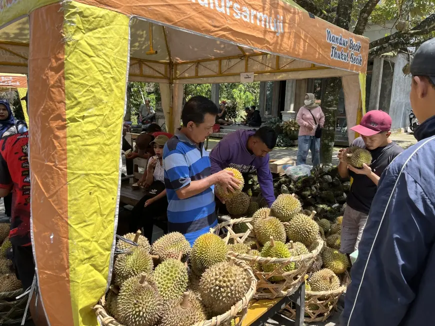 Lereng Kelud Panen Berkah,  Bazar Durian Sumberasri Blitar Diserbu Warga