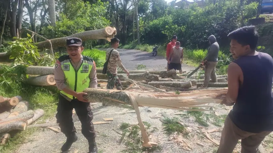 Gerak Cepat Polisi dan Warga, Pohon Tumbang di Blitar Berhasil Dievakuasi