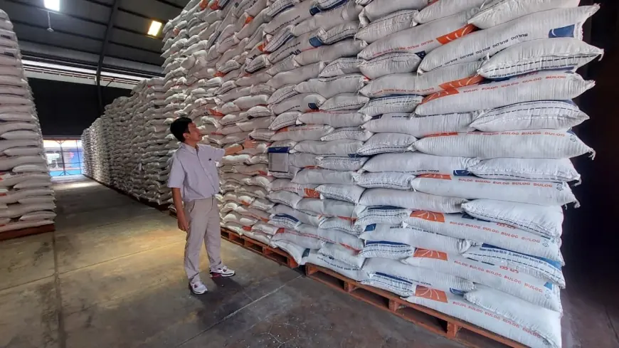 Optimistis Jaga Stok Pangan, Bulog Probolinggo Bidik Serapan 74 Ribu Ton Gabah di 2026