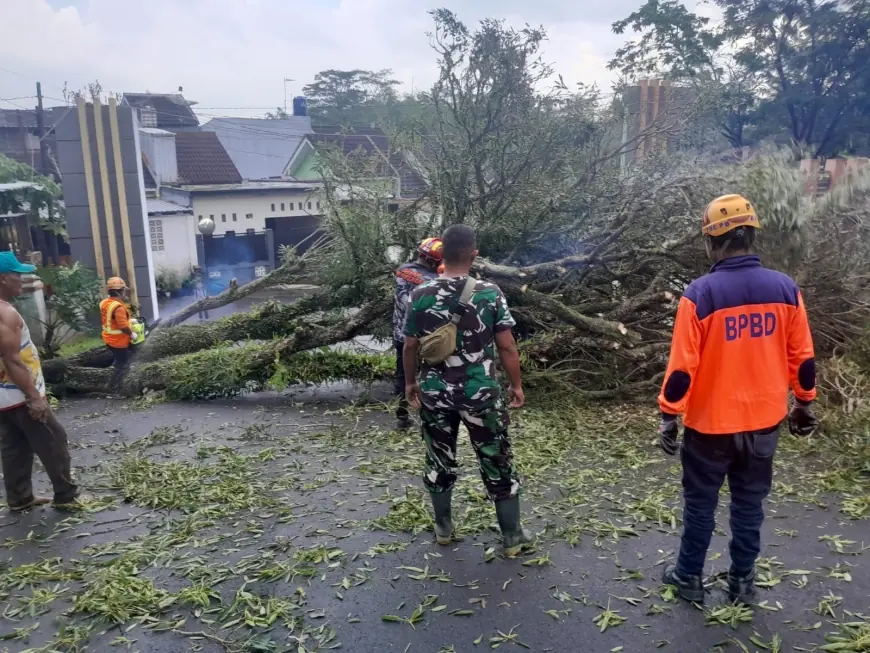 Akses Perum Citra Raya Pakisaji Malang Sempat Terhambat Akibat Pohon Tumbang