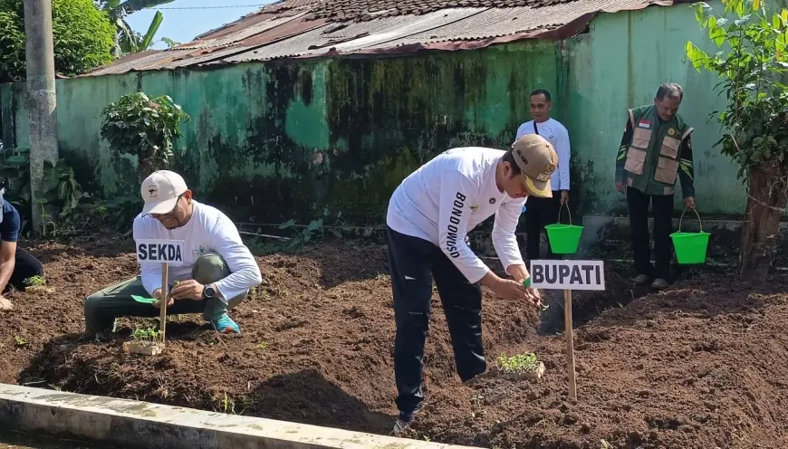 Gerakan Tanam Sayur dan Buah di Pekarangan, Perkuat Ketahanan Pangan di Bondowoso