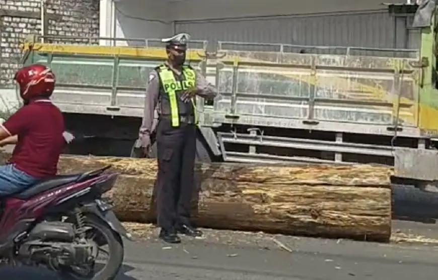 Kayu Gelondongan Terjatuh dari Truk di Jalan Raya Gresik, Lalu Lintas Terganggu