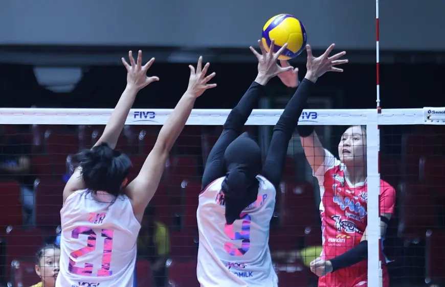 Proliga 2026: Tumbangkan Livin Mandiri, Popsivo Buka Peluang ke Final Four