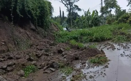 Waspada! Jalur Wisata Perbukitan Mojokerto Diterjang Longsor, BPBD Peringatkan Potensi Susulan
