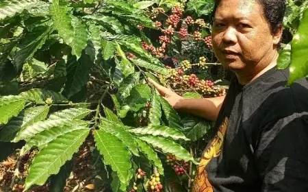 Kopi Robusta Blitar Raih Peringkat Kedua Nasional di IGCC 2026