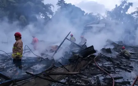 Tiga Kandang Ternak di Batu Terbakar, 15 Ribu Ayam Tewas Terpanggang