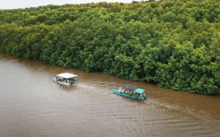 Mangrove Bedul: Sebuah Model Ekowisata Berbasis Konservasi Alam di Banyuwangi