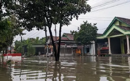 Banjir Luapan Sungai Avour Rendam 7 Desa di Gresik