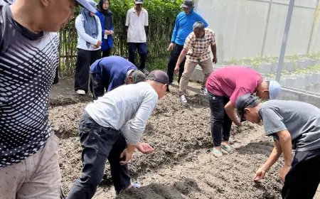 Digitalisasi Kampung Tani Jamsaren Kediri: Transformasi Kampung Kota Menjadi Ruang Edukasi