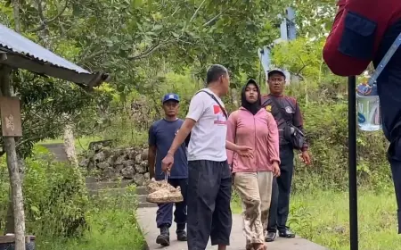 Ketakutan Dikerumuni Monyet saat Mendaki Gunung Budeg, Tiga Pelajar di Tulungagung Minta Bantuan Damkar
