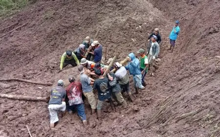 Longsor Terjang Desa Sapih Probolinggo, Akses Antardusun Lumpuh dan Satu Rumah Rusak