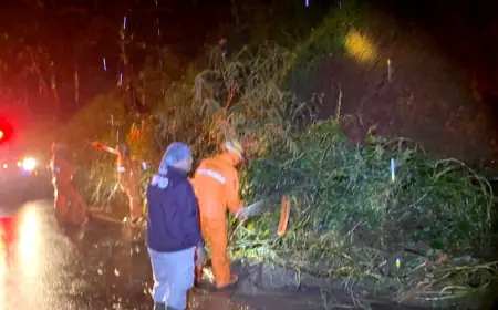 Hujan Deras Picu Enam Titik Longsor di Pakem Bondowoso, Akses Antar Dusun Sempat Tertutup