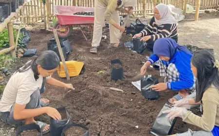 Dari Pekarangan Rumah, Mahasiswa KKN UNP Ajarkan Warga Jamsaren Tanam Bawang Merah dengan Polybag