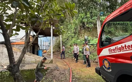 Kandang Ayam di Kanigoro Blitar Terbakar, 8 Ribu Ekor Bibit Ayam Mati