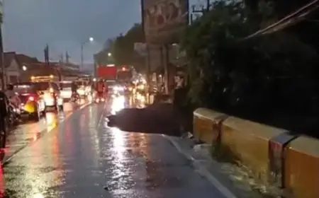 BREAKING NEWS: Jembatan Sentong Bondowoso Ambrol Separuh, Akses Penghubung ke Jember Berpotensi Ditutup Total