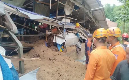 Maut di Balik Kandang Ayam Petelur Dua Lantai di Wonosari Malang