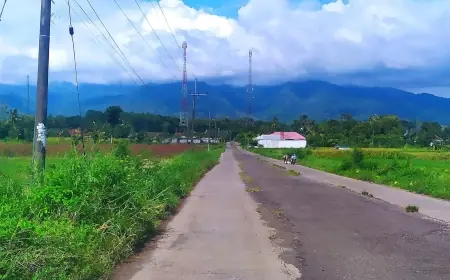 Jalan Lingkar Selatan Bondowoso Belum Terealisasi, Dinas BSBK Fokus Amankan Aset