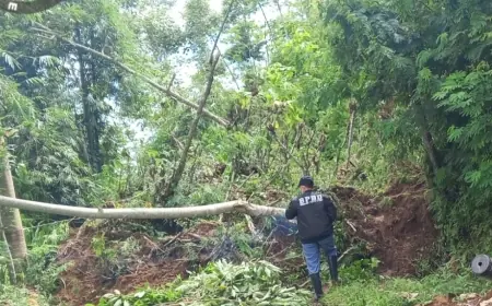 Longsor 20 Meter Tutup Jalur Vital Warga Ampelgading Malang