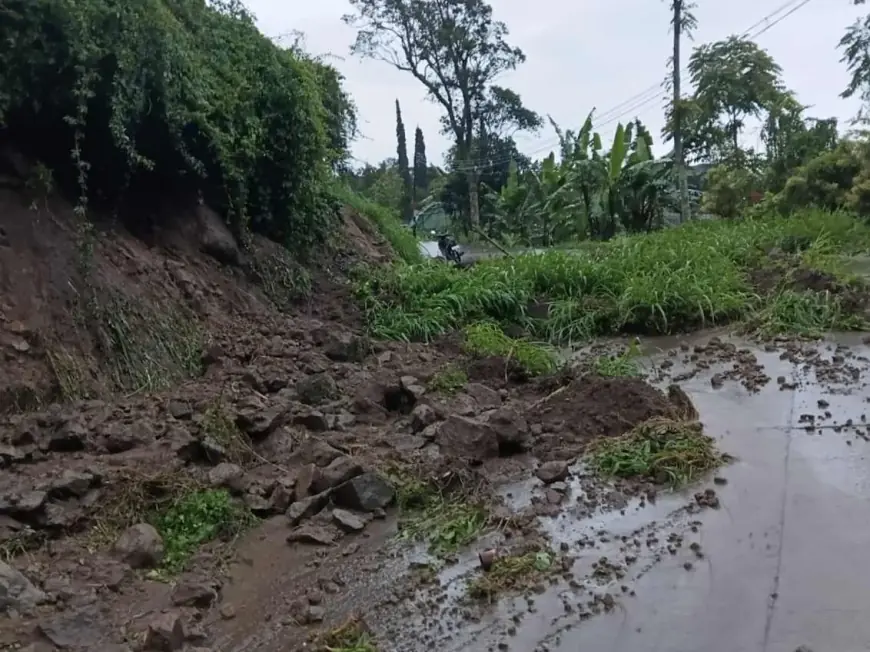 Waspada! Jalur Wisata Perbukitan Mojokerto Diterjang Longsor, BPBD Peringatkan Potensi Susulan