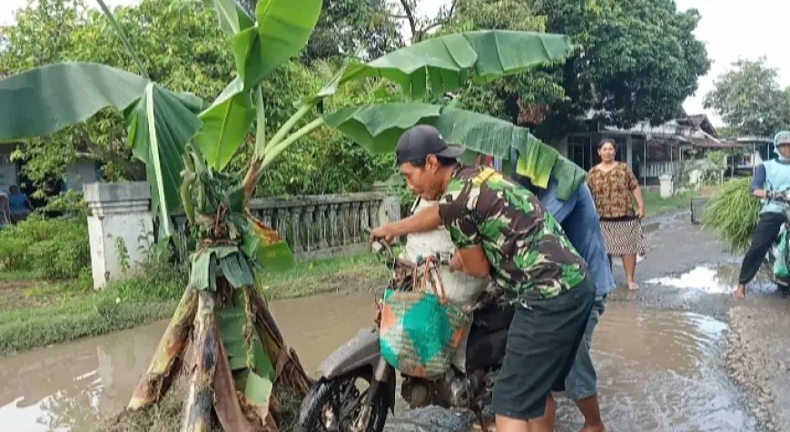 Jalan Poros Dusun Miren–Sidoharjo Nganjuk Rusak Parah, Warga Tanam Pohon Pisang hingga Ancam Demo