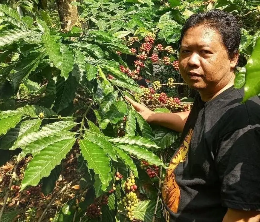 Kopi Robusta Blitar Raih Peringkat Kedua Nasional di IGCC 2026