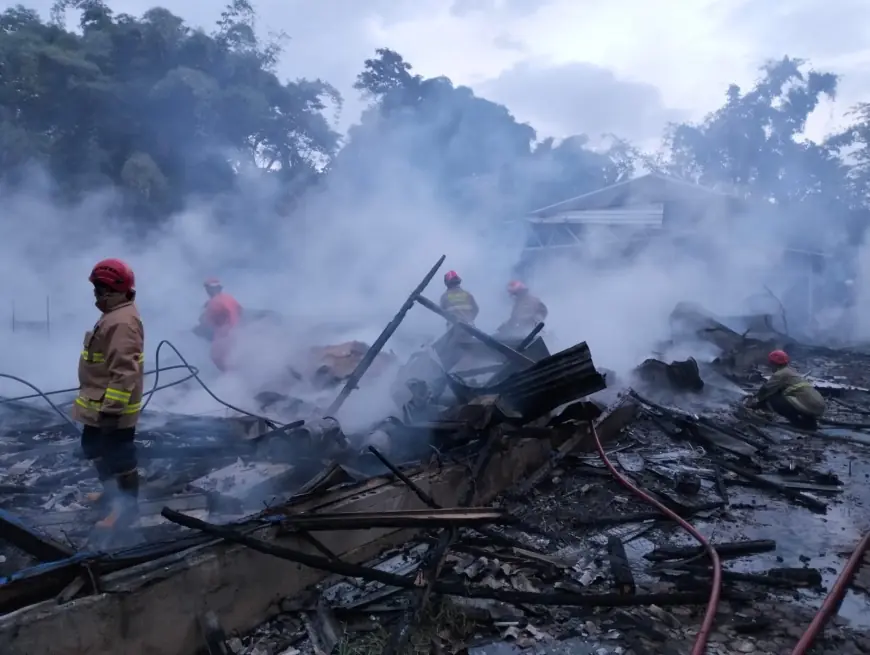 Tiga Kandang Ternak di Batu Terbakar, 15 Ribu Ayam Tewas Terpanggang