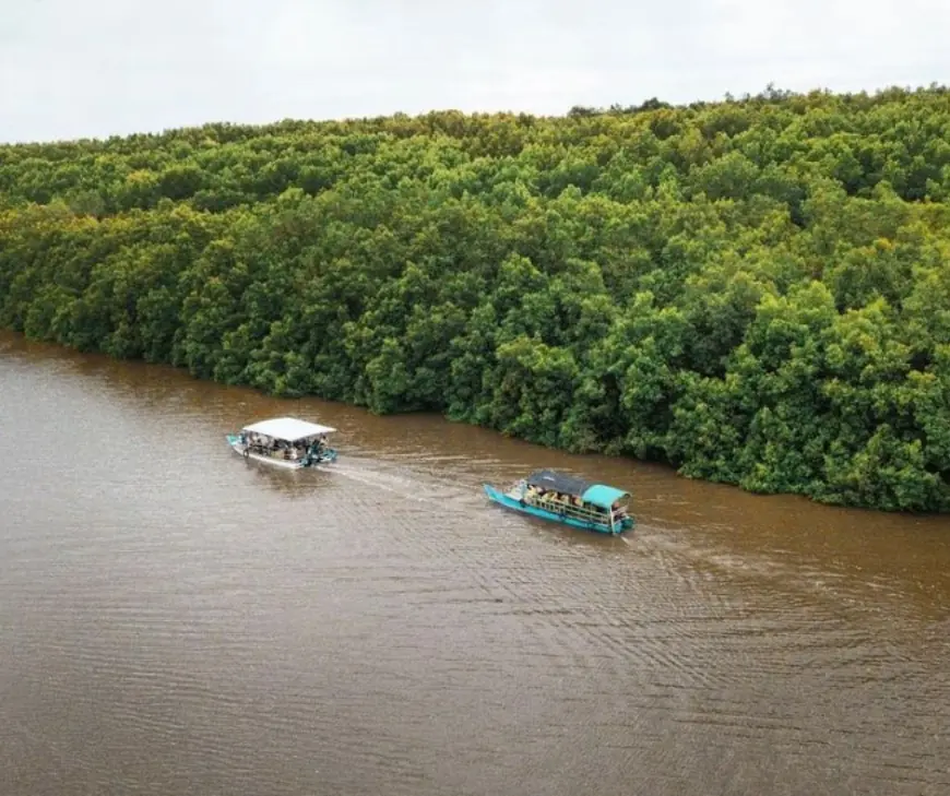 Mangrove Bedul: Sebuah Model Ekowisata Berbasis Konservasi Alam di Banyuwangi