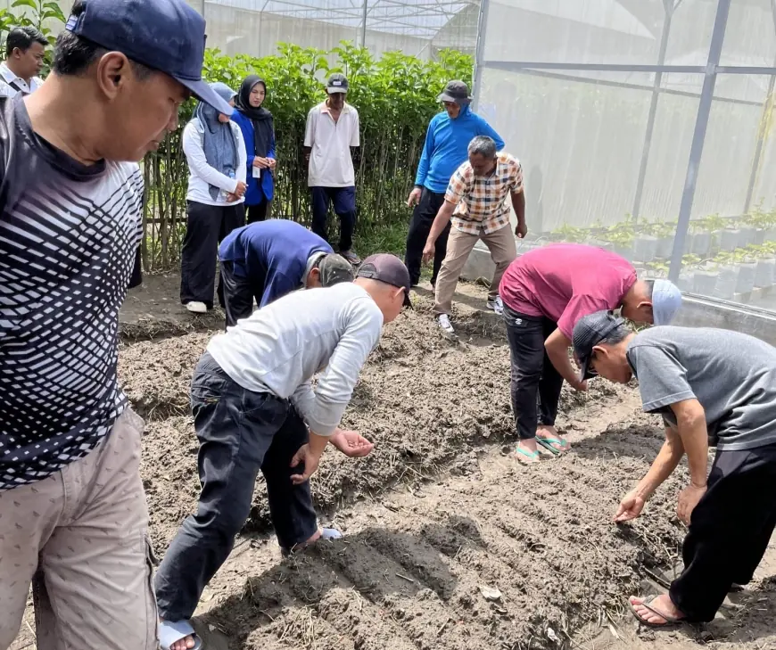 Digitalisasi Kampung Tani Jamsaren Kediri: Transformasi Kampung Kota Menjadi Ruang Edukasi