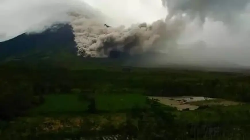 Gunung Semeru Erupsi, Tinggi Kolom Abu Capai 800 Meter