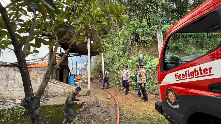 Kandang Ayam di Kanigoro Blitar Terbakar, 8 Ribu Ekor Bibit Ayam Mati