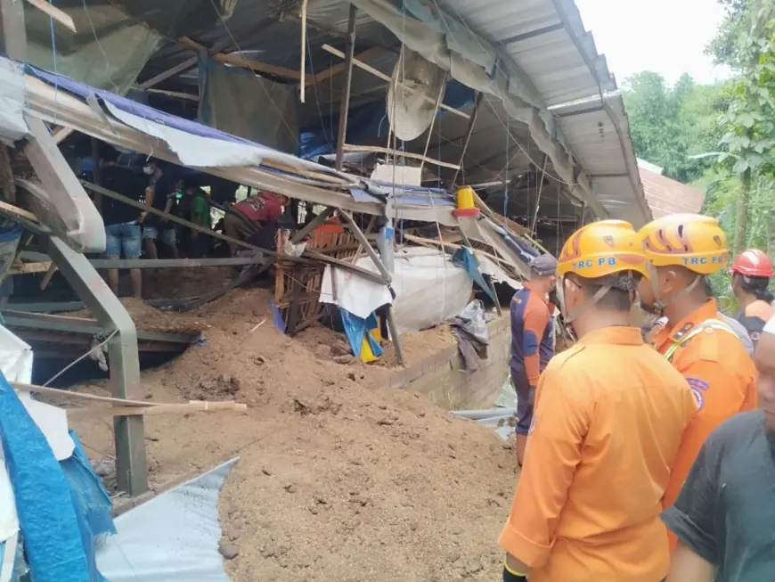 Maut di Balik Kandang Ayam Petelur Dua Lantai di Wonosari Malang