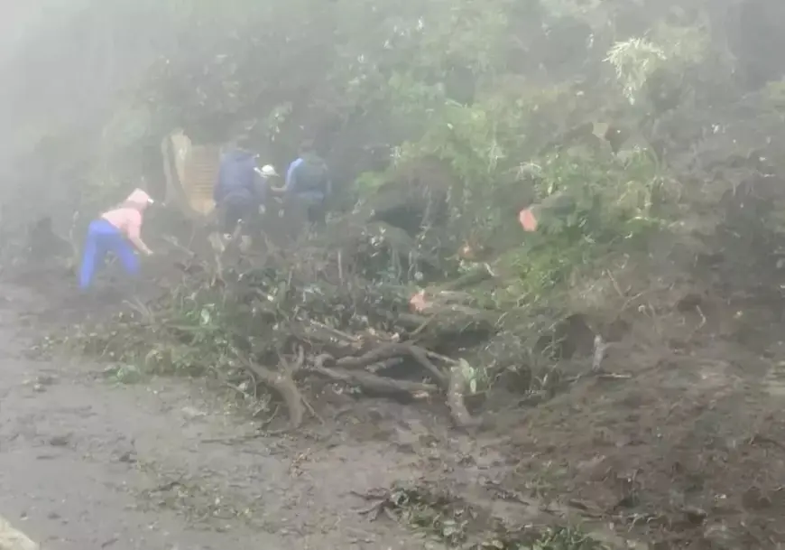Bromo Longsor, Bukit Kedaluh Runtuh, 7 Motor Wisata Tertimbun